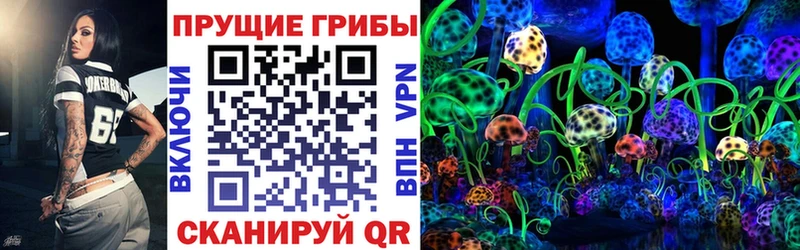 где найти наркотики  Городище  это состав  Галлюциногенные грибы Magic Shrooms 